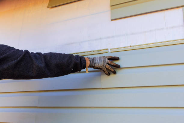 Best Brick Veneer Siding  in Fifth Ward, LA